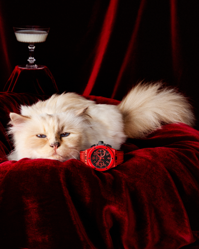 Happy Cat & Stylish Watches: Hublot has meow it!