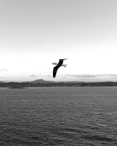 Жизнь вне спешки